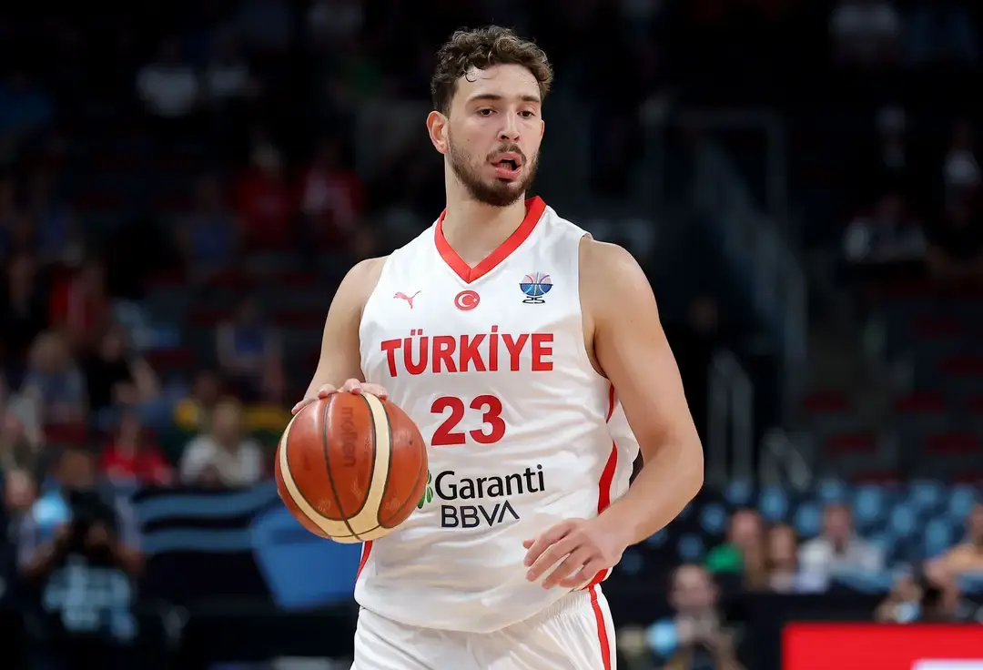 申京, msn, 谢泼德和霍 申京, msn, 谢泼德和霍