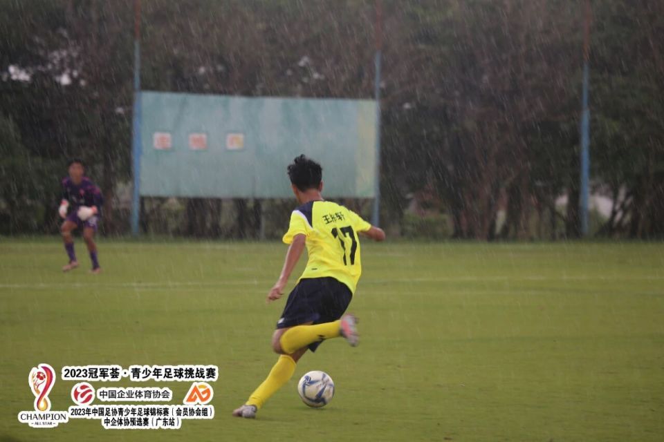 优势与不足 优势与不足